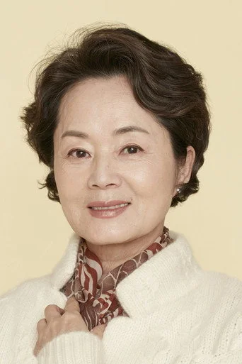 Chân dung Kim Young-ae