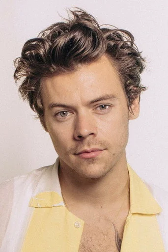 Chân dung Harry Styles